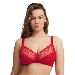 Soutien Sans Cerceau Every Curve